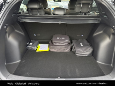 BYD Atto 3 Neuwagen BYD Atto 3 Neuwagen