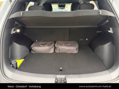 BYD Atto 2 Neuwagen