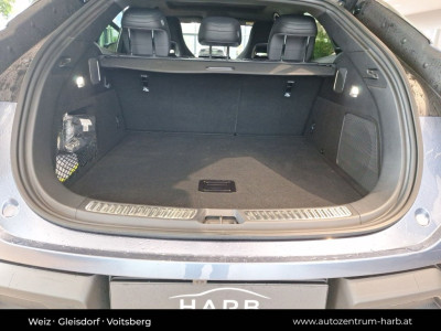 BYD Sealion 7 Neuwagen BYD Sealion 7 Neuwagen