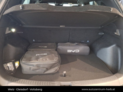 BYD Atto 2 Neuwagen BYD Atto 2 Neuwagen