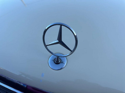 Mercedes-Benz C-Klasse Gebrauchtwagen