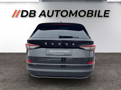 Skoda Kodiaq Gebrauchtwagen Skoda Kodiaq Gebrauchtwagen