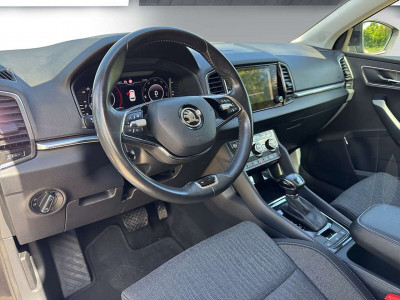 Skoda Karoq Gebrauchtwagen