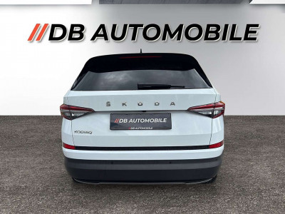 Skoda Kodiaq Gebrauchtwagen Skoda Kodiaq Gebrauchtwagen