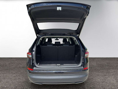 Skoda Kodiaq Gebrauchtwagen Skoda Kodiaq Gebrauchtwagen