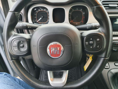 Fiat Panda Gebrauchtwagen