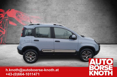 Fiat Panda Gebrauchtwagen