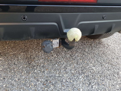 Mitsubishi ASX Gebrauchtwagen Mitsubishi ASX Gebrauchtwagen