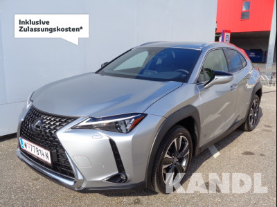 Lexus UX Gebrauchtwagen