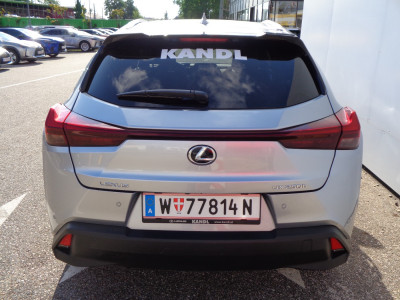 Lexus UX Gebrauchtwagen