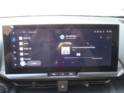 Toyota C-HR Gebrauchtwagen