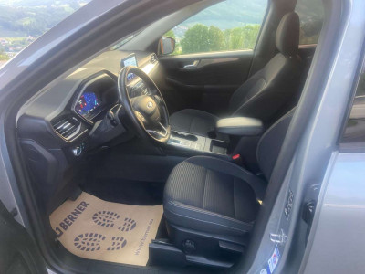 Ford Kuga Gebrauchtwagen Ford Kuga Gebrauchtwagen