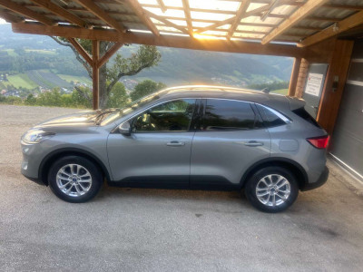 Ford Kuga Gebrauchtwagen Ford Kuga Gebrauchtwagen