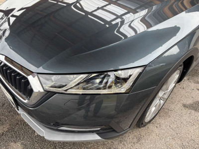 Skoda Octavia Gebrauchtwagen