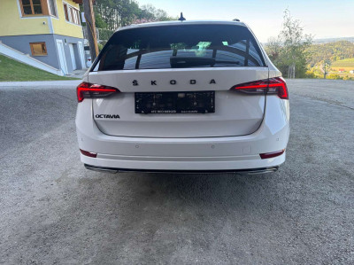Skoda Octavia Gebrauchtwagen