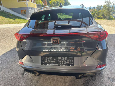 Cupra Formentor Gebrauchtwagen Cupra Formentor Gebrauchtwagen