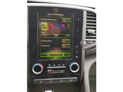 Renault Talisman Gebrauchtwagen