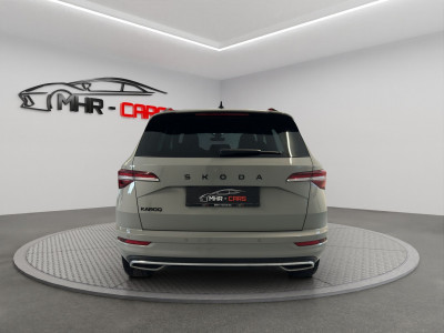 Skoda Karoq Gebrauchtwagen