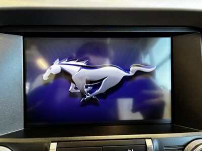 Ford Mustang Gebrauchtwagen