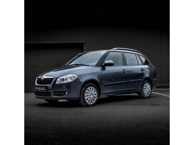 Skoda Fabia Gebrauchtwagen