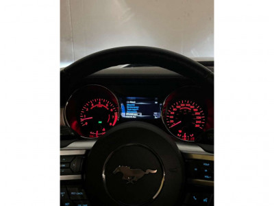 Ford Mustang Gebrauchtwagen