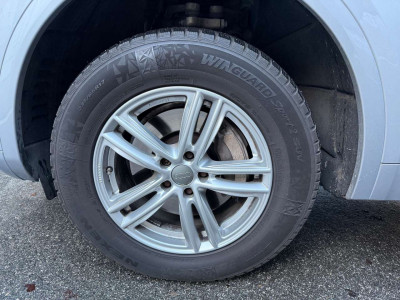 Audi Q5 Gebrauchtwagen