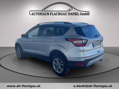 Ford Kuga Gebrauchtwagen