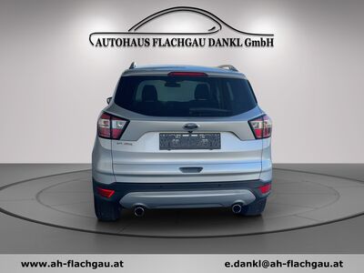 Ford Kuga Gebrauchtwagen