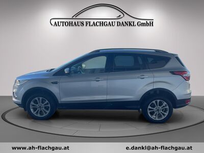 Ford Kuga Gebrauchtwagen