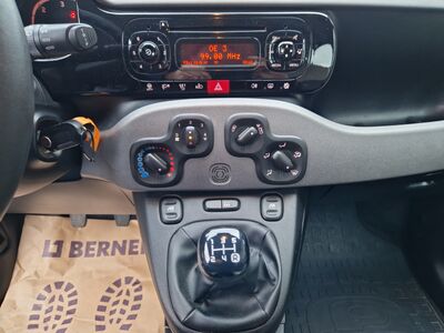 Fiat Panda Gebrauchtwagen