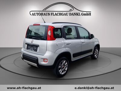 Fiat Panda Gebrauchtwagen