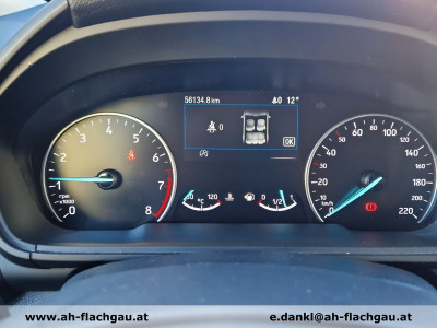 Ford EcoSport Gebrauchtwagen