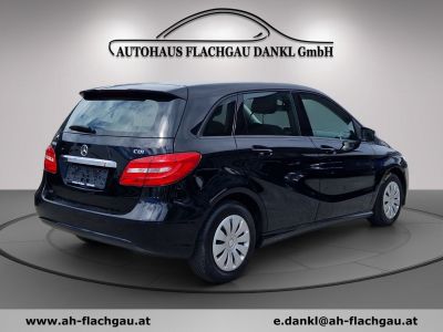 Mercedes-Benz B-Klasse Gebrauchtwagen