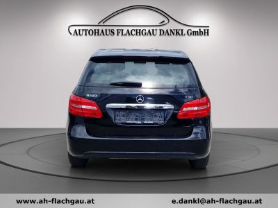 Mercedes-Benz B-Klasse Gebrauchtwagen
