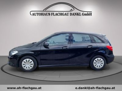 Mercedes-Benz B-Klasse Gebrauchtwagen