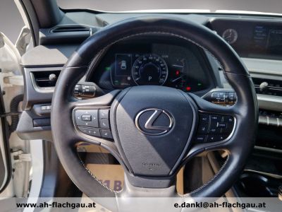 Lexus UX Gebrauchtwagen Lexus UX Gebrauchtwagen
