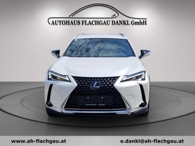 Lexus UX Gebrauchtwagen Lexus UX Gebrauchtwagen