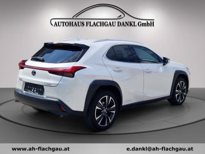 Lexus UX Gebrauchtwagen Lexus UX Gebrauchtwagen