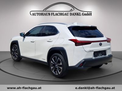 Lexus UX Gebrauchtwagen Lexus UX Gebrauchtwagen