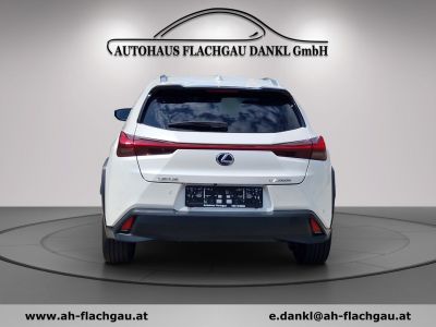 Lexus UX Gebrauchtwagen Lexus UX Gebrauchtwagen
