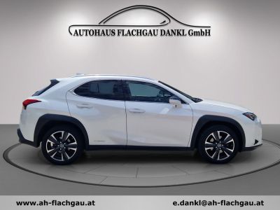 Lexus UX Gebrauchtwagen Lexus UX Gebrauchtwagen