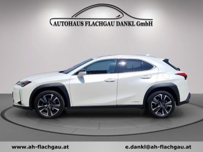 Lexus UX Gebrauchtwagen Lexus UX Gebrauchtwagen