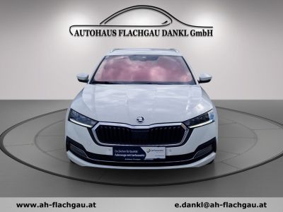 Skoda Octavia Gebrauchtwagen