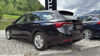 Skoda Octavia Gebrauchtwagen