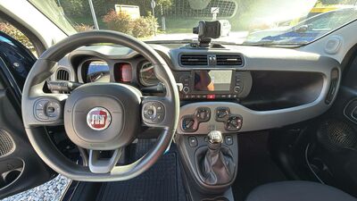 Fiat Panda Gebrauchtwagen