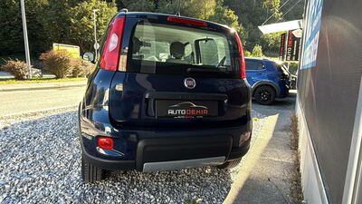 Fiat Panda Gebrauchtwagen