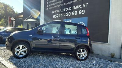 Fiat Panda Gebrauchtwagen
