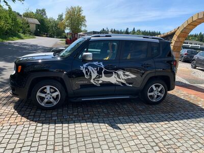 Jeep Renegade Gebrauchtwagen