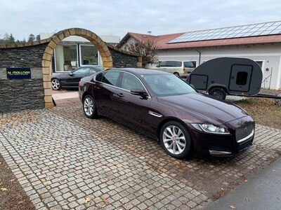 Jaguar XF Gebrauchtwagen