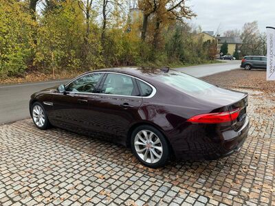 Jaguar XF Gebrauchtwagen